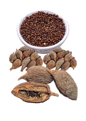 Organic Alligator Pepper 10 Pods